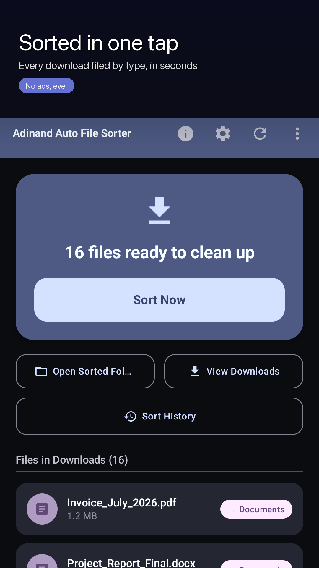 The home screen listing the files waiting in Downloads, with a Sort Now button