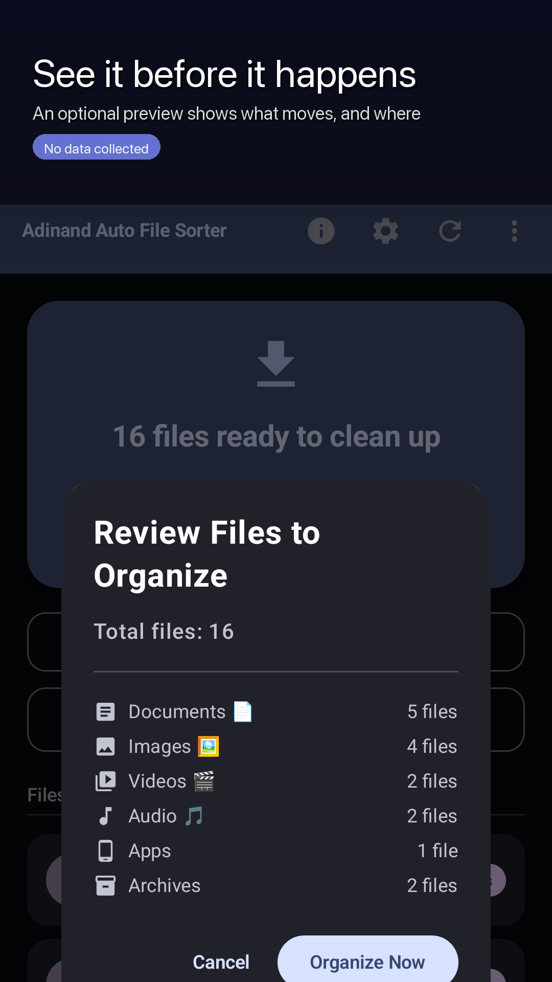 The Review Files to Organize preview dialog, counting files per category before anything moves